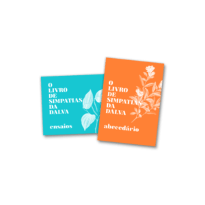 o livro de simpatias da dalva