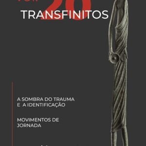 Transfinitos 20